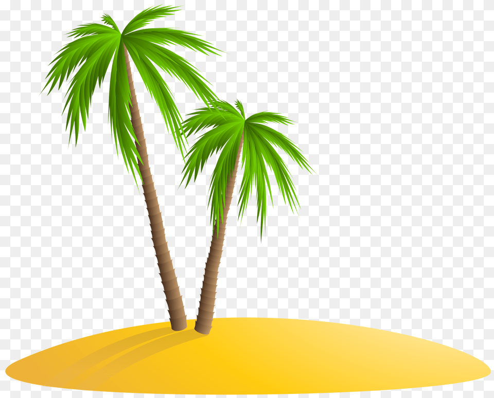 Palm Island Clip Art, Palm Tree, Plant, Tree, Green Png Image