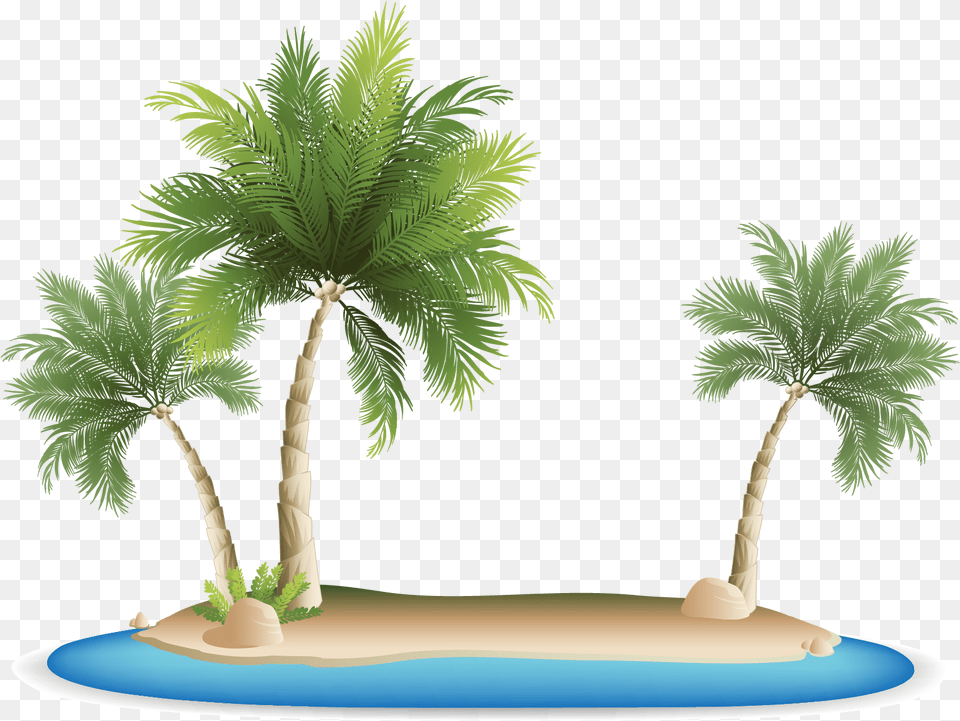 Palm Islands Tropical Islands Resort Clip Art Palm Tree Beach, Summer, Palm Tree, Plant, Vegetation Png Image