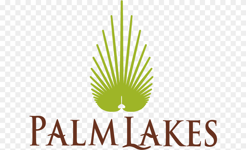 Palm Lakes Logo Graphic Design, Symbol Free Png Download