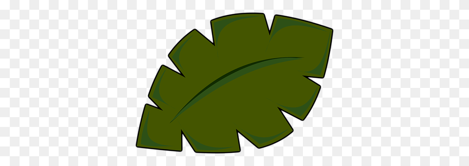 Palm Leaf Plant Free Png Download