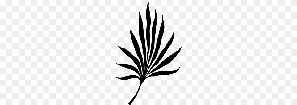 Palm Leaf Gray Free Transparent Png