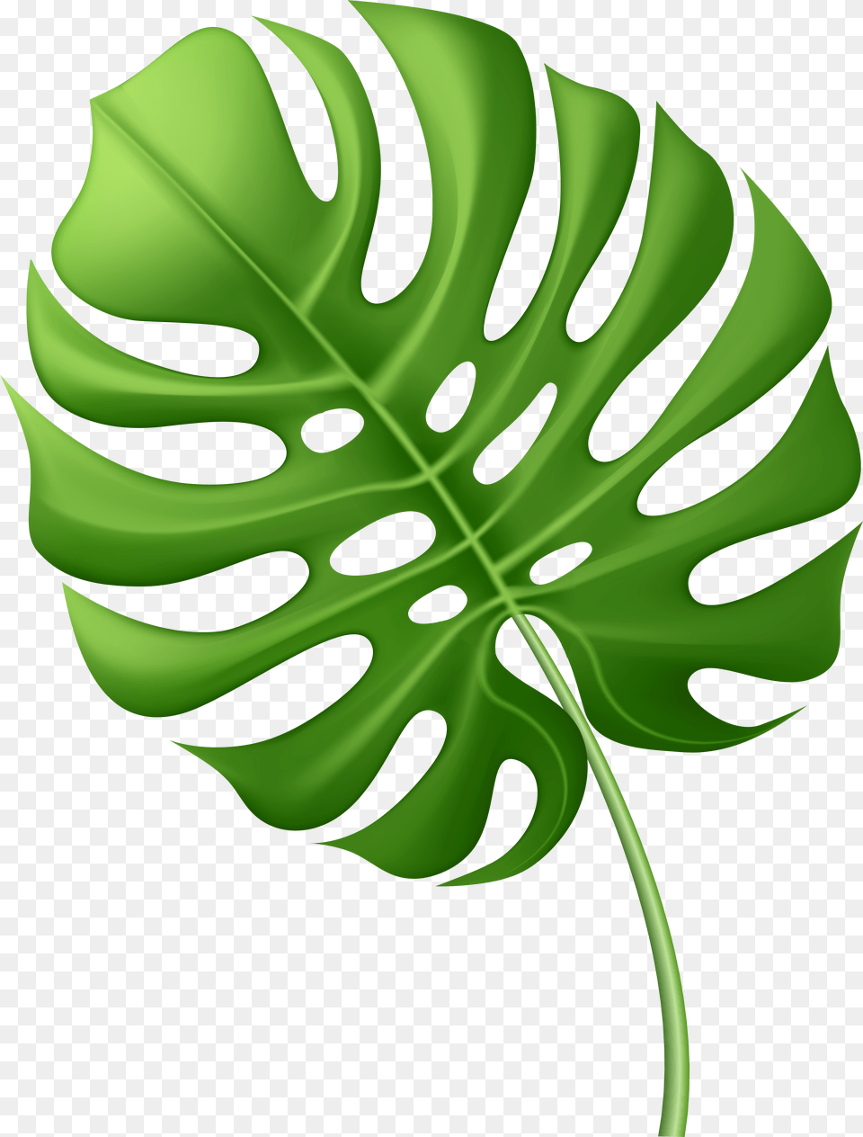 Palm Leaf, Electronics Free Png