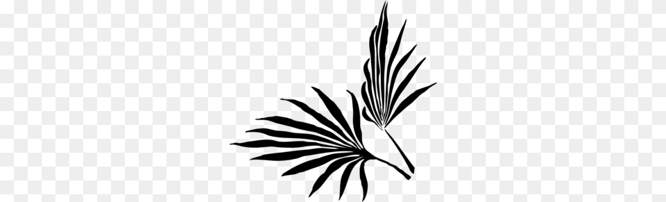 Palm Leaf Clip Art, Gray Free Png Download