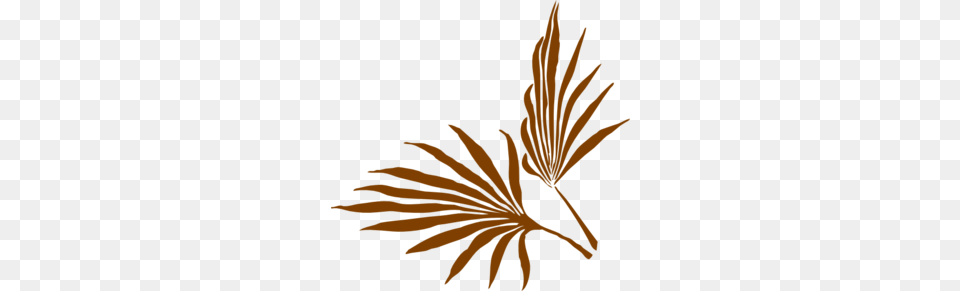 Palm Leaf Clip Art, Plant, Herbal, Herbs, Flower Free Transparent Png