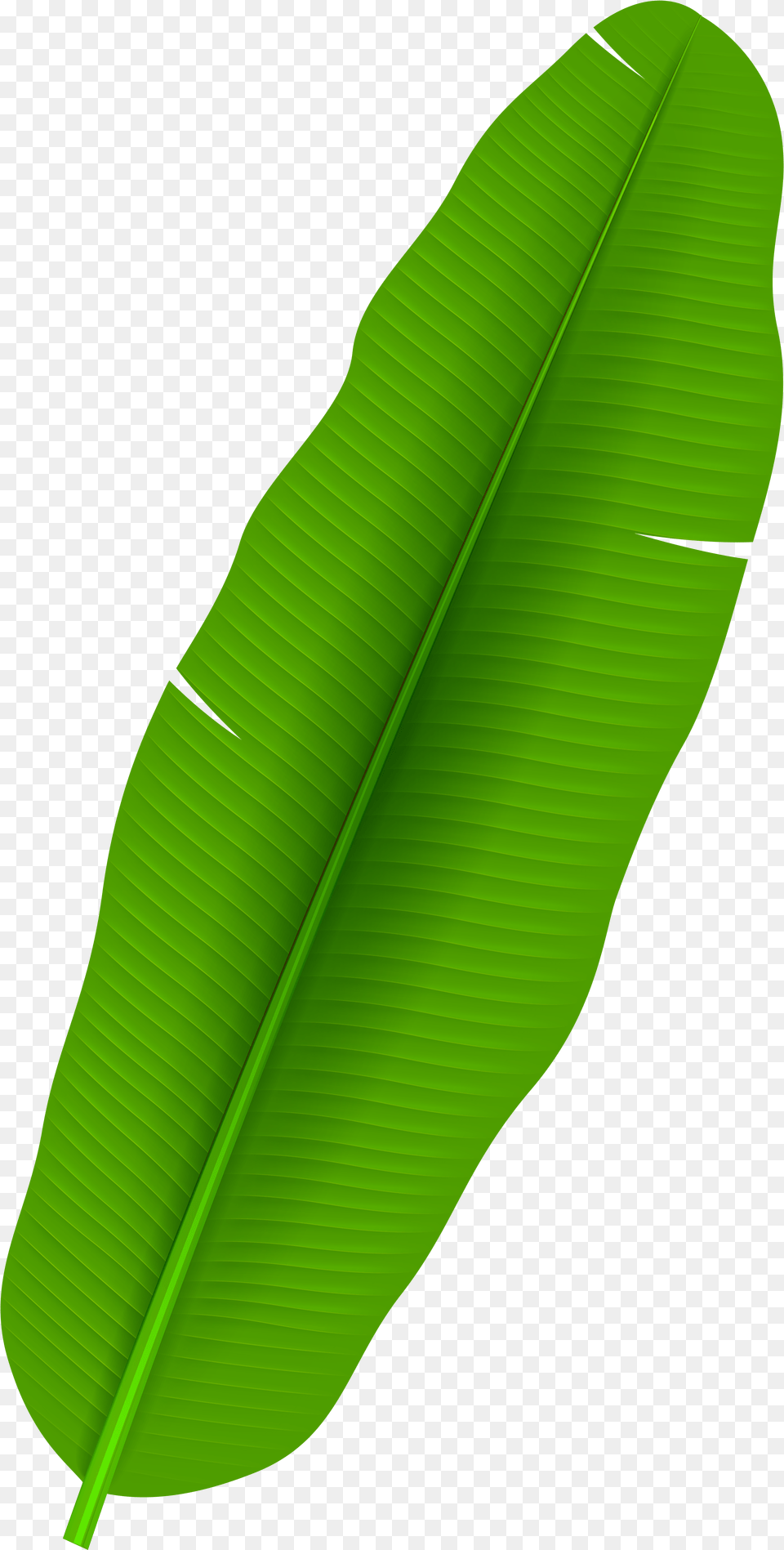 Palm Leaf Clip Art Banana Leaf Clipart, Gun, Weapon Png