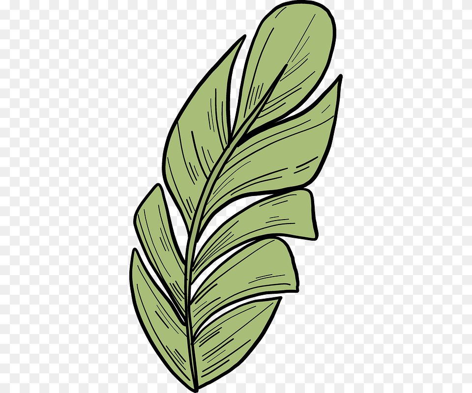 Palm Leaf Clipart, Plant, Herbal, Herbs, Art Free Png Download