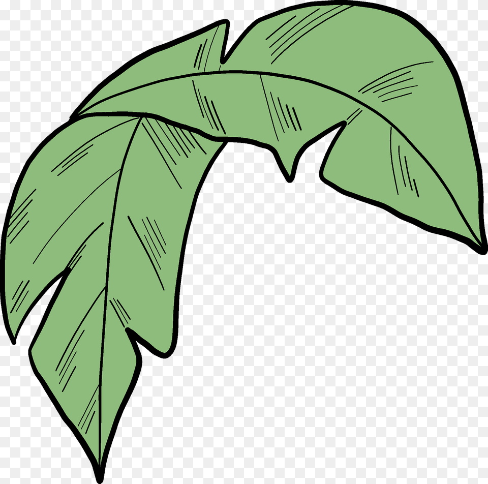 Palm Leaf Clipart, Plant, Vegetation, Tree, Animal Free Transparent Png