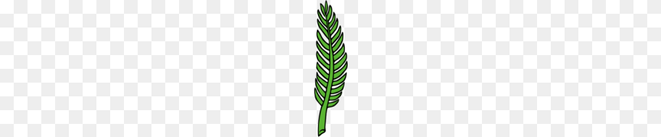 Palm Leaf Clipart, Plant, Vegetation, Green Png Image