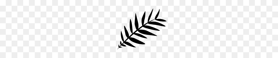 Palm Leaf Icons Noun Project, Gray Free Png Download