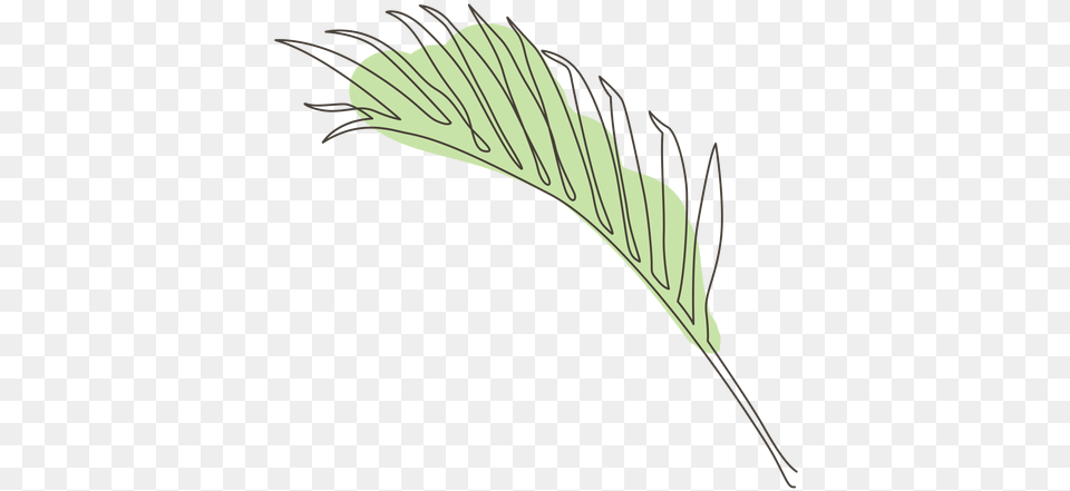 Palm Leaf Line Drawing Design U0026 Svg Vector Leaf Line Drawing, Grass, Plant, Vegetation, Animal Free Transparent Png