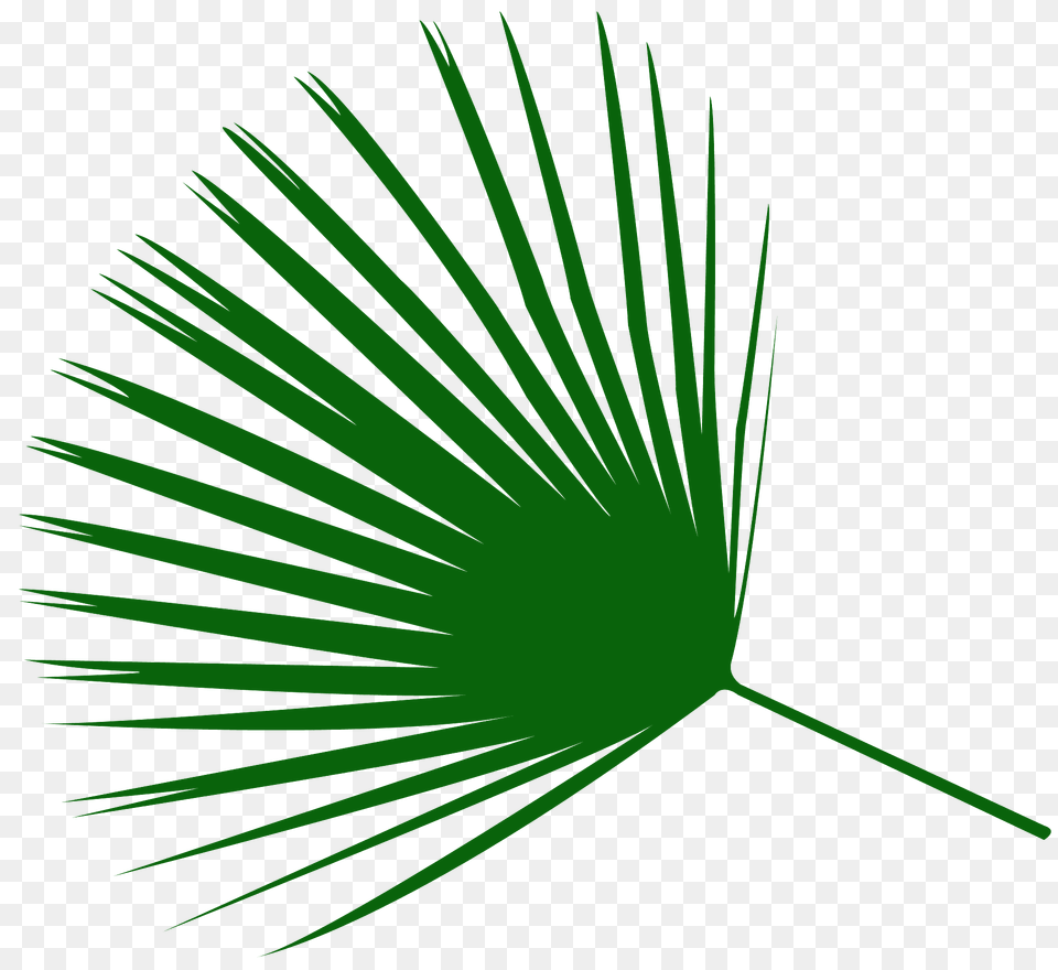 Palm Leaf Silhouette, Grass, Green, Palm Tree, Plant Free Png Download