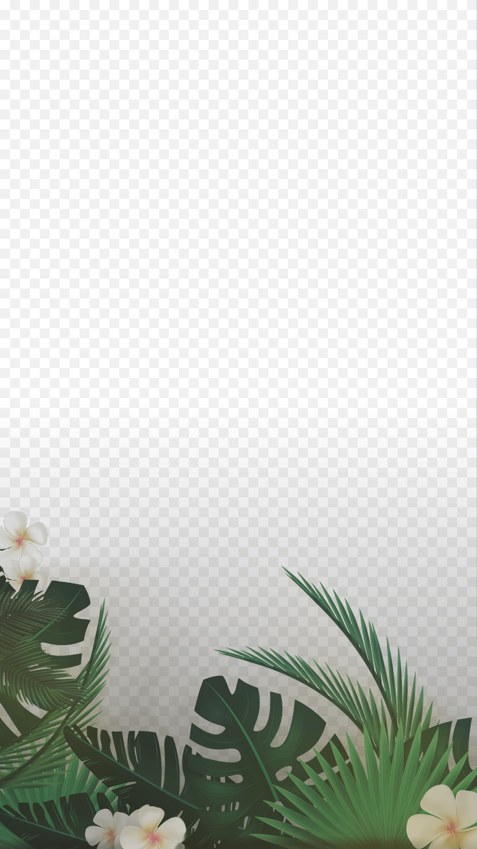 Palm Leaf Snapchat Filter, Anemone, Flower, Geranium, Petal Free Png Download
