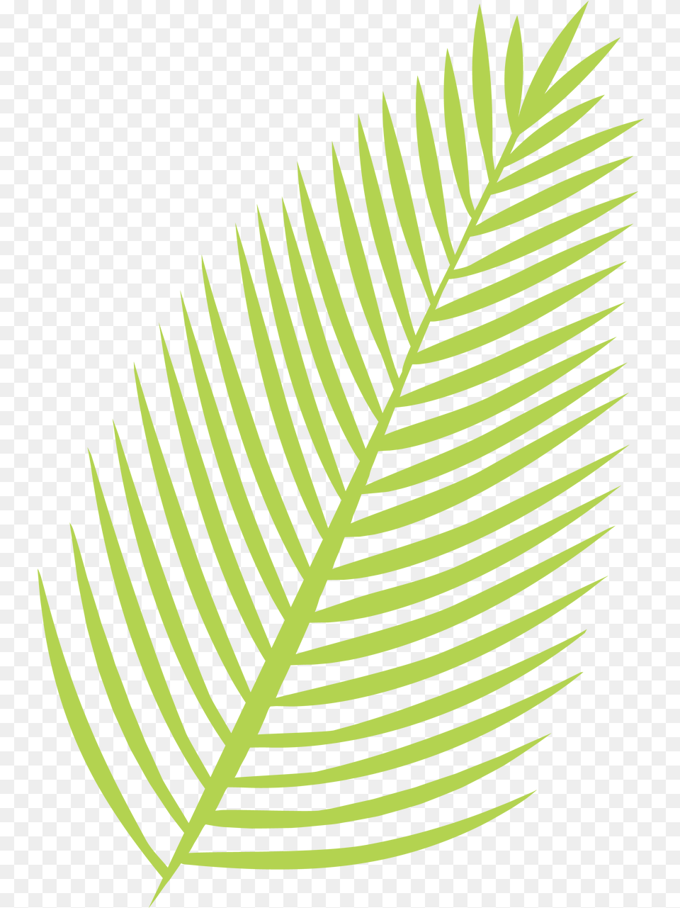 Palm Leaf Svg Cut File Palm Leaf Svg, Fern, Plant, Festival, Hanukkah Menorah Free Png