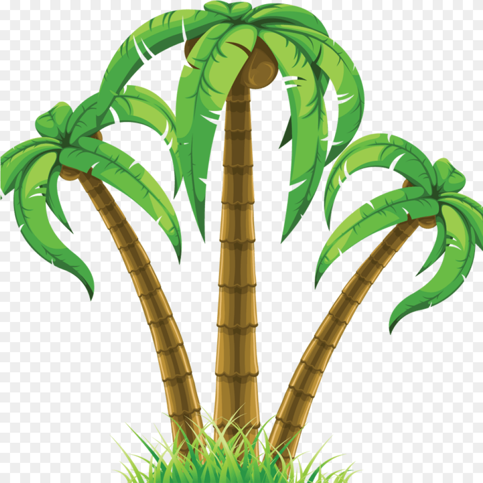 Palm Leaf Tropical Tree Clipart, Plant, Vegetation, Person Free Png