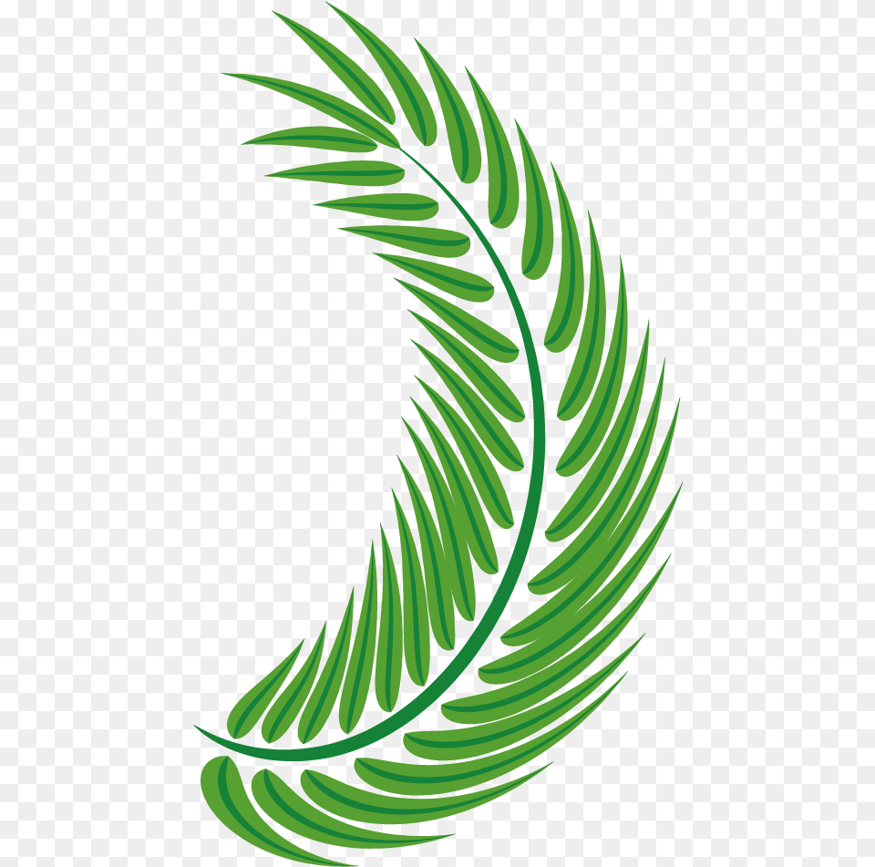 Palm Leaves, Green, Plant, Pattern, Leaf Free Png