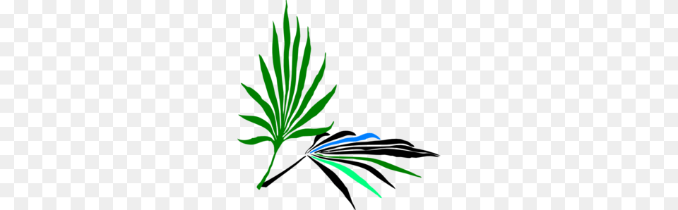 Palm Leaves Clip Art, Green, Light, Person, Plant Free Transparent Png