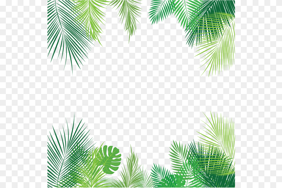 Palm Leaves Vector Psd And Clipart With Transparent Palm Leaves Background, Green, Rainforest, Plant, Tree Png Image