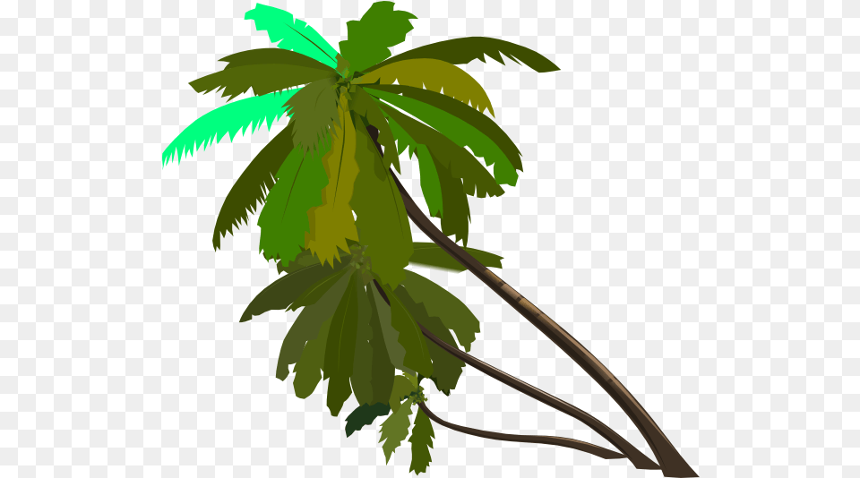 Palm Logo Clip Art Vector Clip Art Online Palm Tree Clip Art, Green, Plant, Palm Tree, Leaf Png