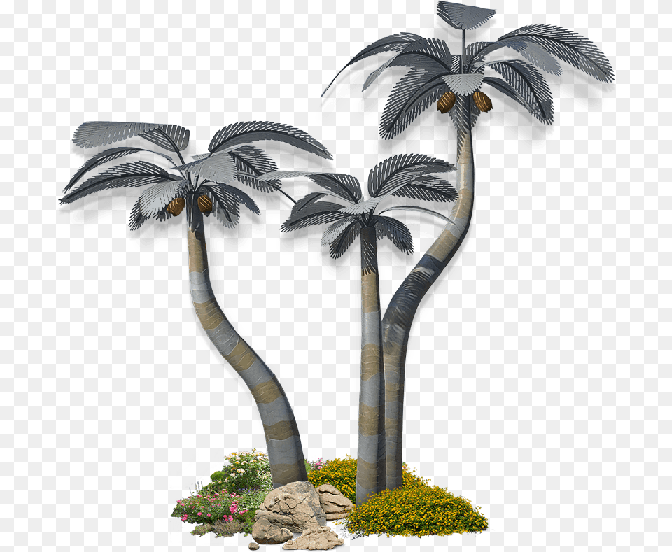 Palm Medium Group Sabal Palmetto, Palm Tree, Plant, Tree, Vegetation Free Transparent Png