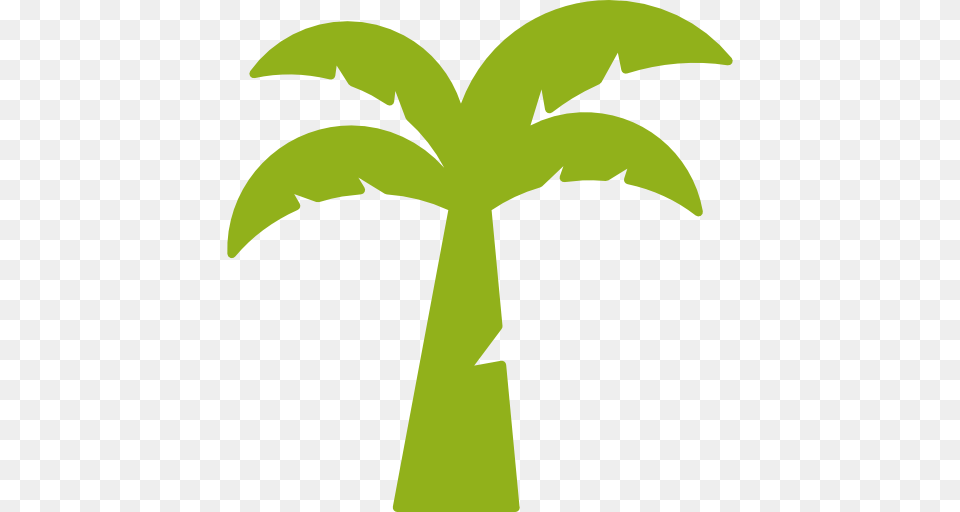 Palm Oil, Palm Tree, Plant, Tree, Leaf Png