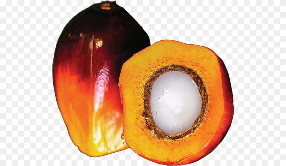 Palm Oil Plant Calabaza, Food, Fruit, Produce, Citrus Fruit Png