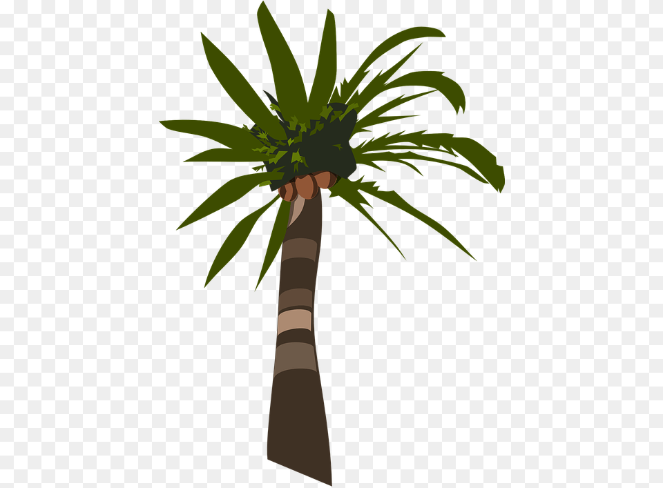 Palm Oil Tree Silhouette, Palm Tree, Plant, Animal, Bird Png