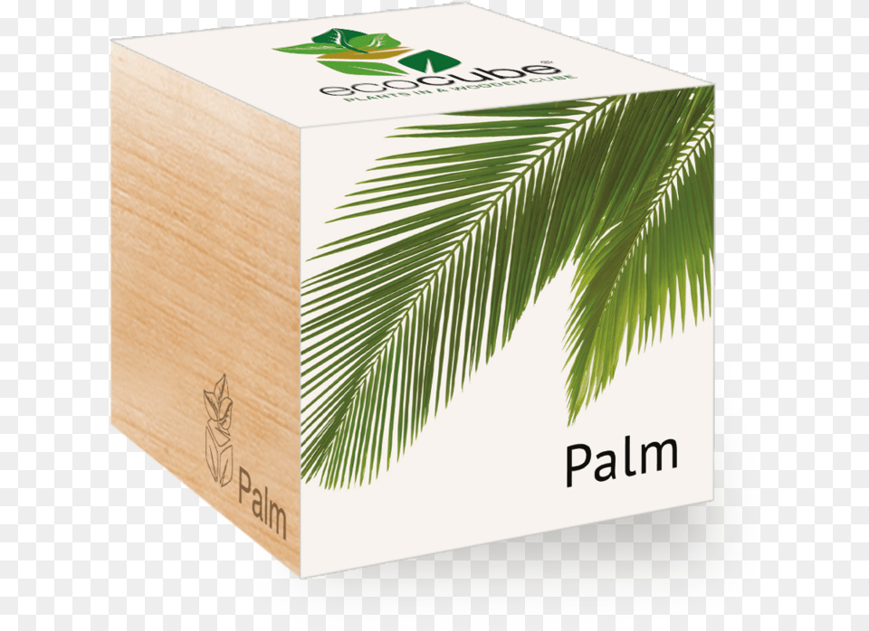 Palm Packing, Box, Plant, Tree, Cardboard Free Png Download