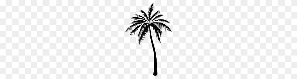 Palm Palm Tree Summer Silhouette, Palm Tree, Plant Png Image