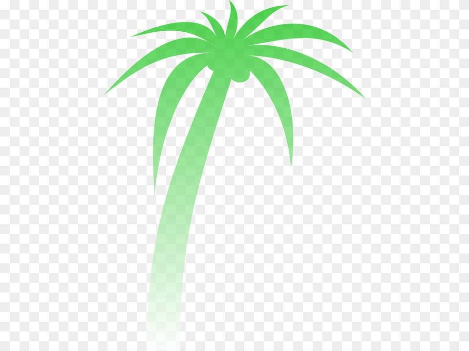 Palm Palmera Degradado Verde Tropicales Rbol Palm Tree Clip Art, Palm Tree, Plant Free Transparent Png