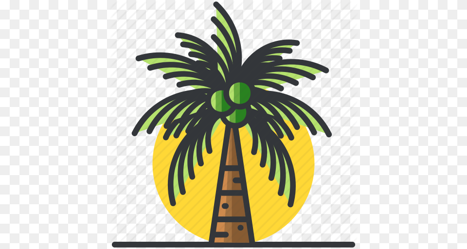 Palm Plants Tree Trees Tropical Icon, Palm Tree, Plant, Food, Fruit Png Image