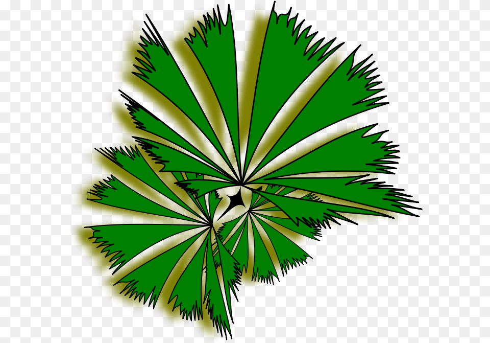 Palm Raphis 01a Palm Tree Top View Clipart, Art, Plant, Leaf, Graphics Free Png Download