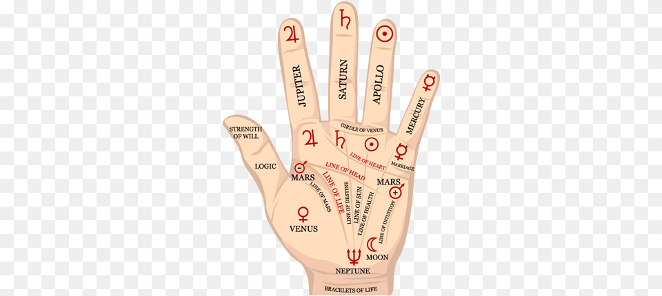 Palm Reading Beauty Salon, Body Part, Clothing, Finger, Glove Free Png Download