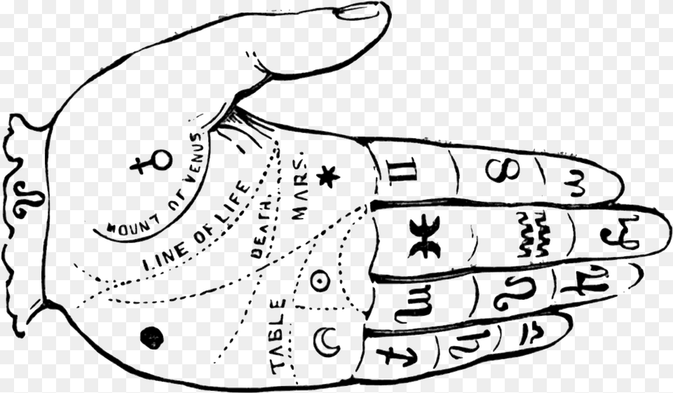 Palm Reading Diagram Fortune Teller Hand, Baseball, Baseball Glove, Clothing, Glove Free Png