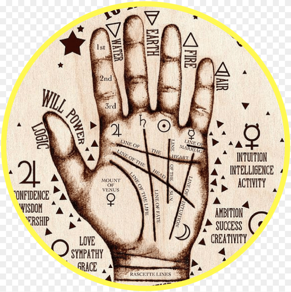 Palm Reading Hand Harry Potter Palm Reading, Body Part, Person, Finger, Adult Free Png Download