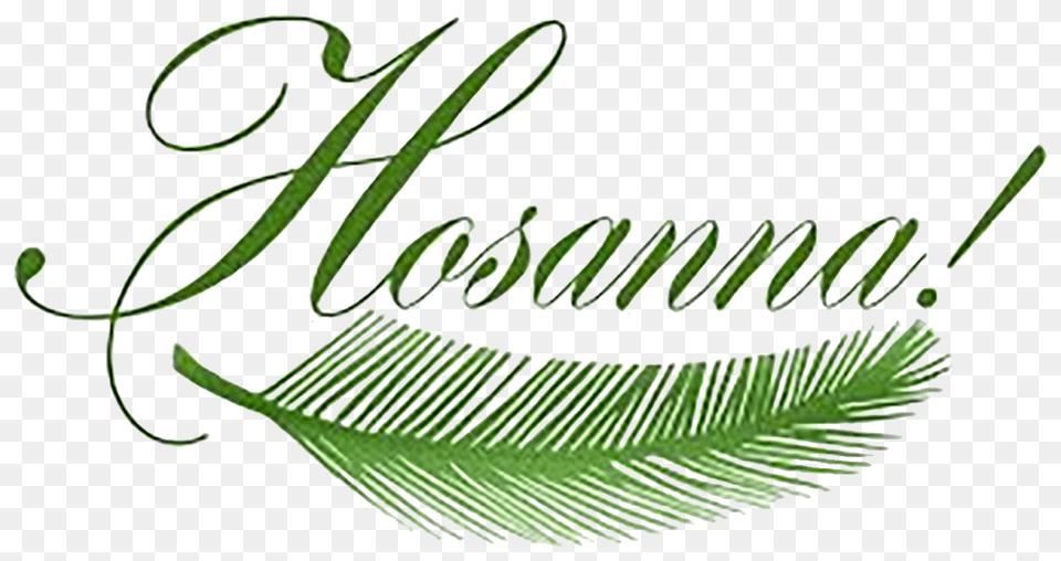 Palm Sunday, Plant, Text, Handwriting, Leaf Free Png Download