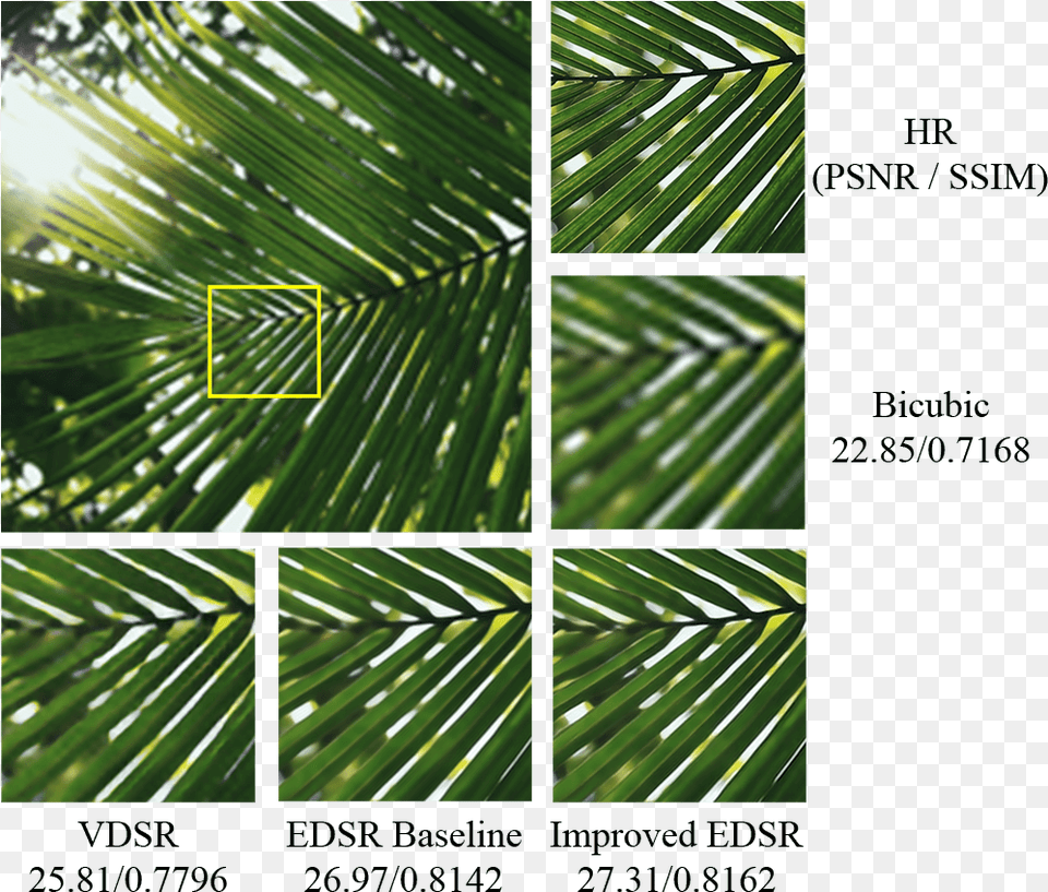 Palm Sunday, Art, Collage, Tree, Leaf Free Png Download