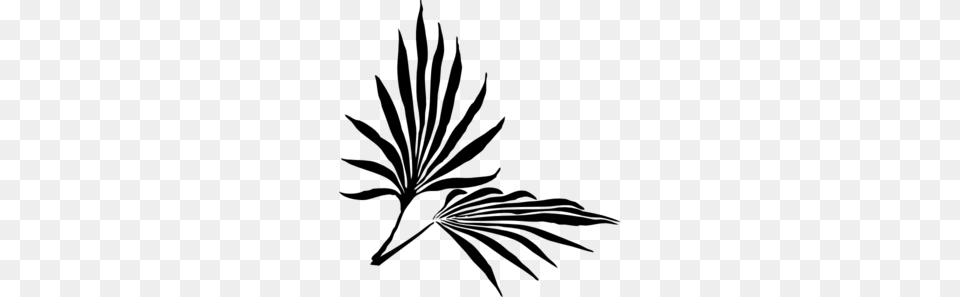 Palm Sunday Branch Clip Art, Gray Free Transparent Png