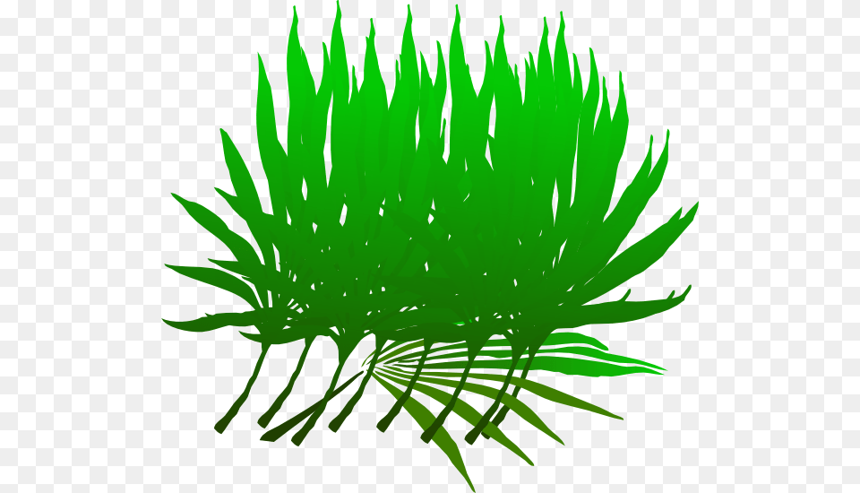 Palm Sunday Branch Clip Art, Grass, Green, Leaf, Plant Png Image