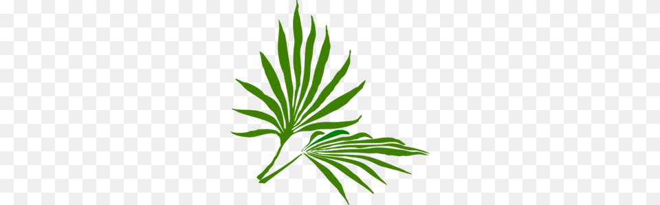 Palm Sunday Clip Art, Green, Leaf, Plant, Tree Free Png Download