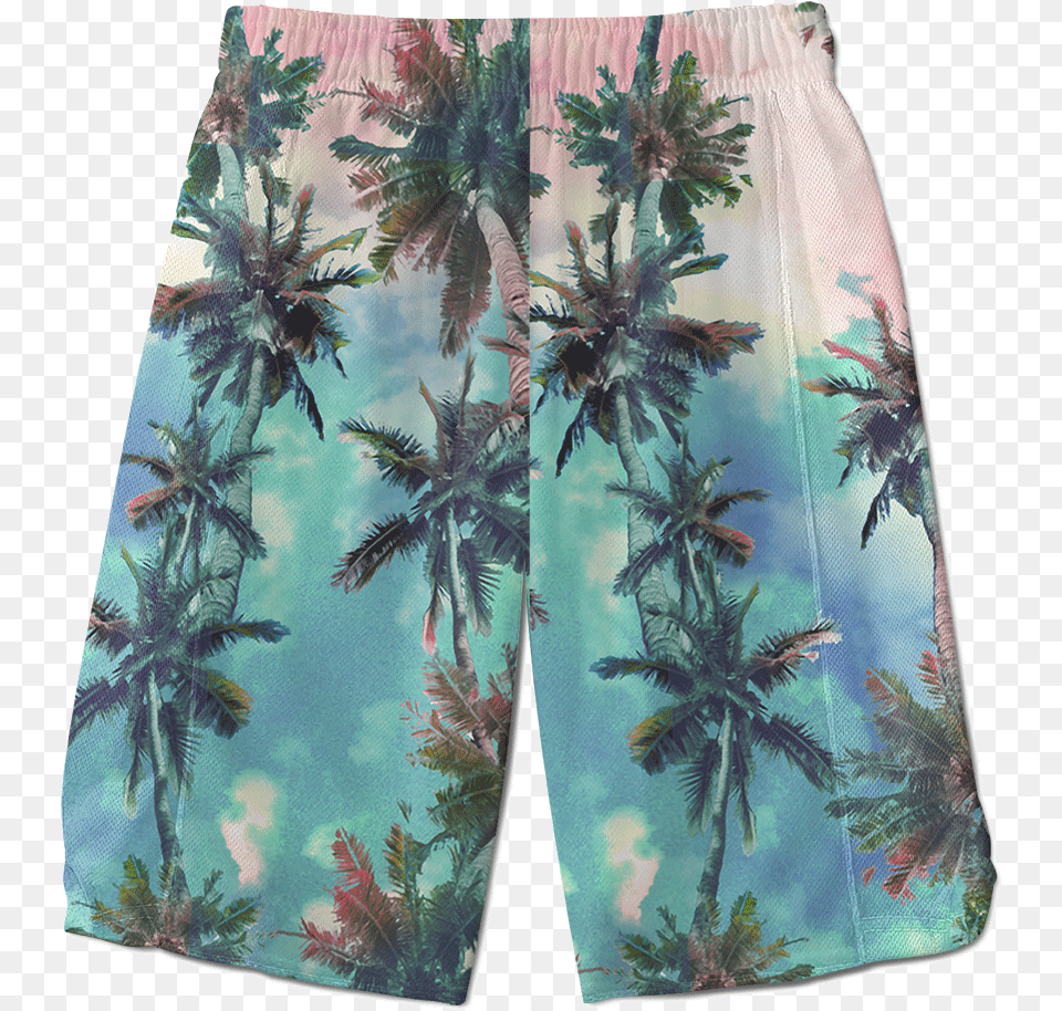 Palm Sunset Shorts Board Short, Clothing, Plant, Beachwear, Swimming Trunks Png Image