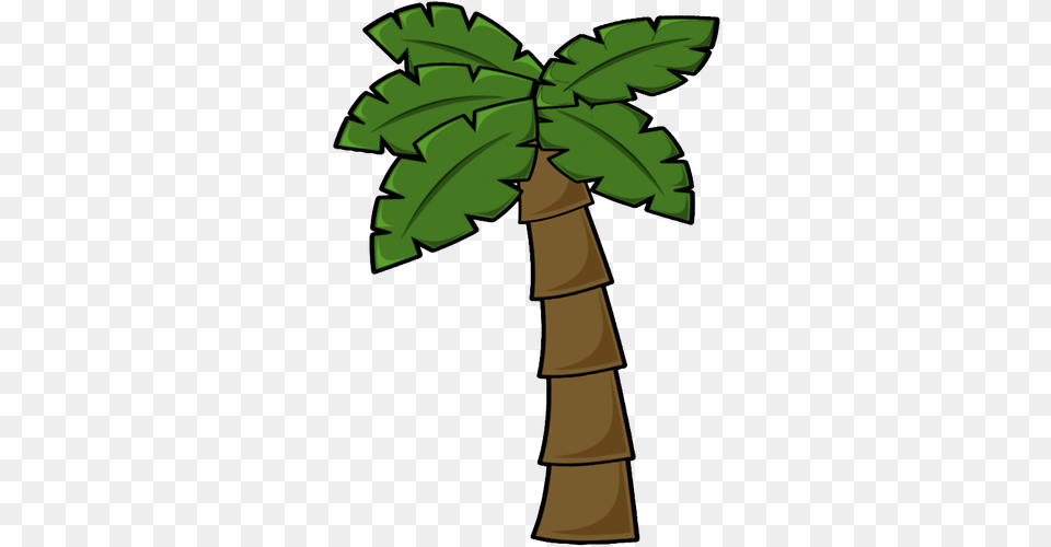 Palm Three With Borders, Plant, Tree, Leaf, Palm Tree Png Image