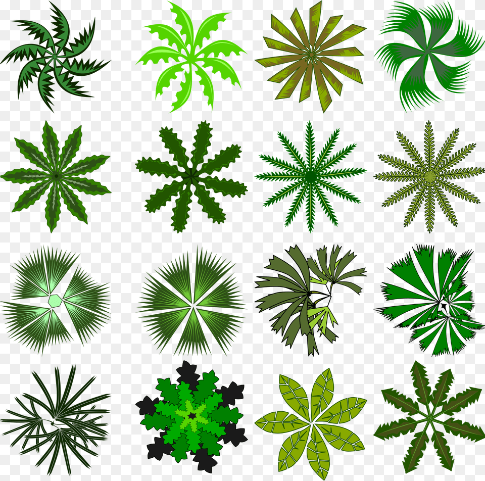 Palm Top View Icon, Leaf, Plant, Pattern, Green Free Transparent Png