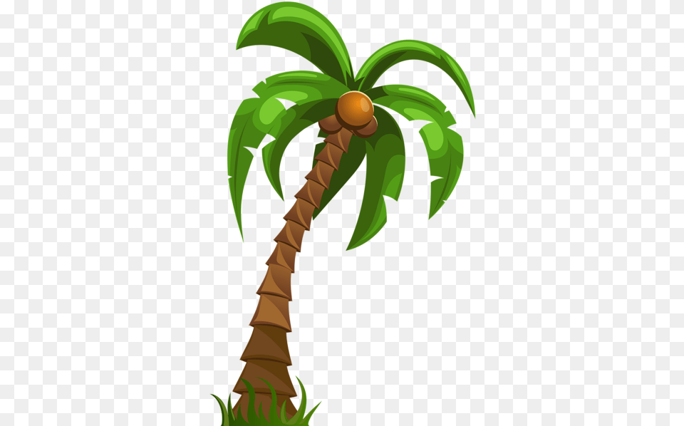Palm Transparent Clip Art Clipart Palm Tree, Palm Tree, Plant, Food, Fruit Png Image