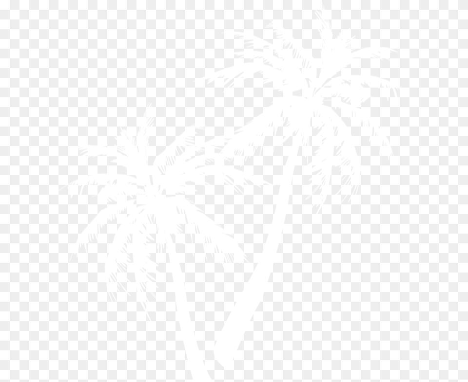 Palm Tree 100 Nigmes De Plage Livre, Palm Tree, Plant, Stencil, Person Free Transparent Png