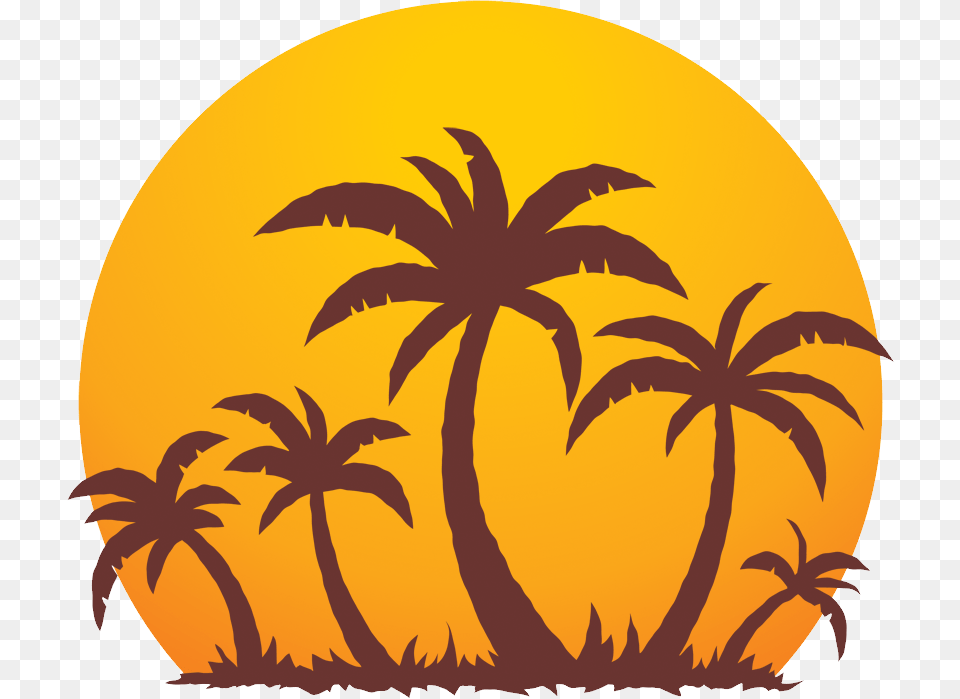 Palm Tree, Sky, Nature, Outdoors, Plant Png