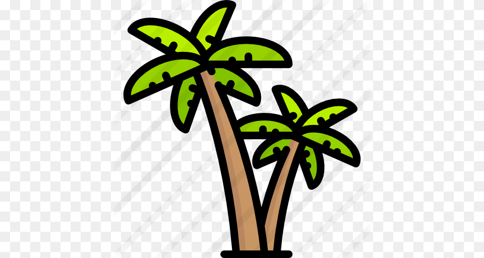 Palm Tree, Leaf, Palm Tree, Plant, Vegetation Free Transparent Png