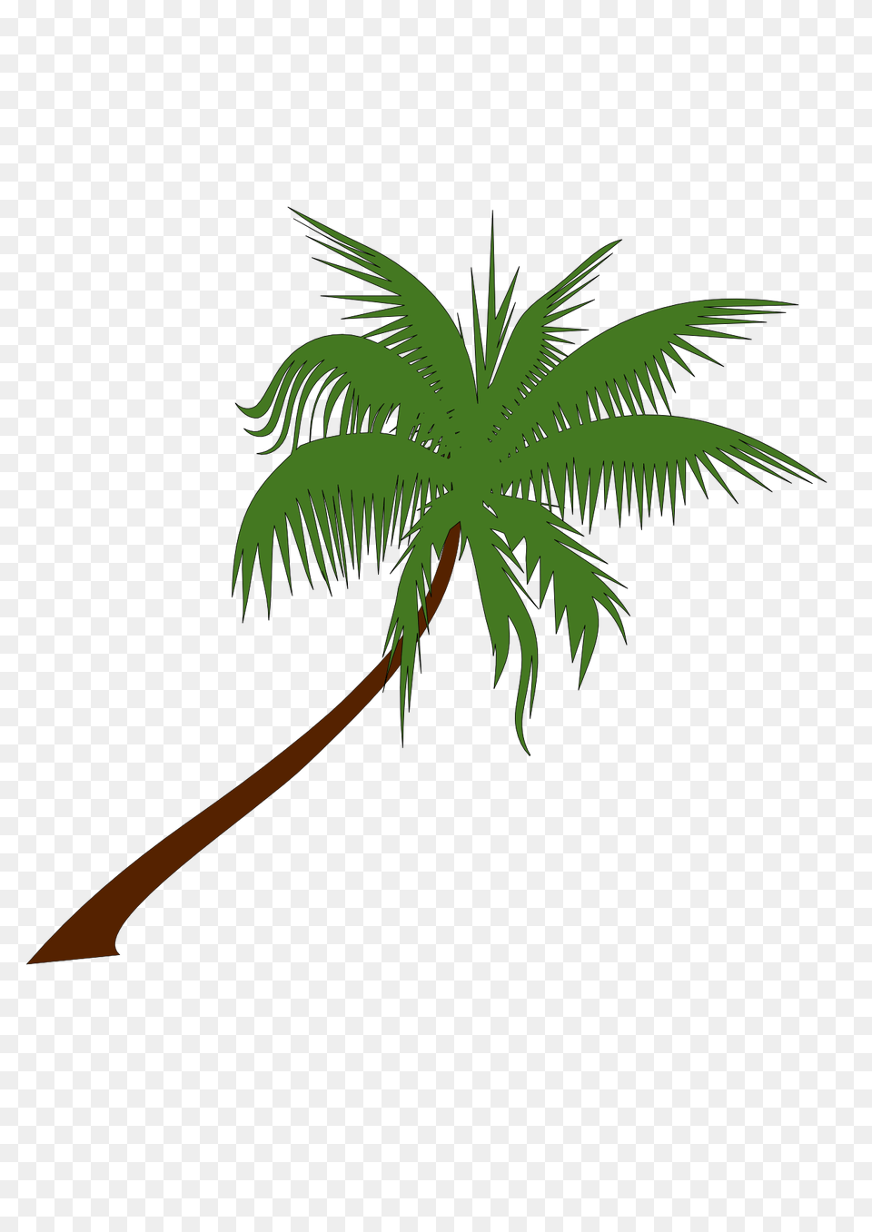 Palm Tree, Leaf, Palm Tree, Plant, Vegetation Free Png