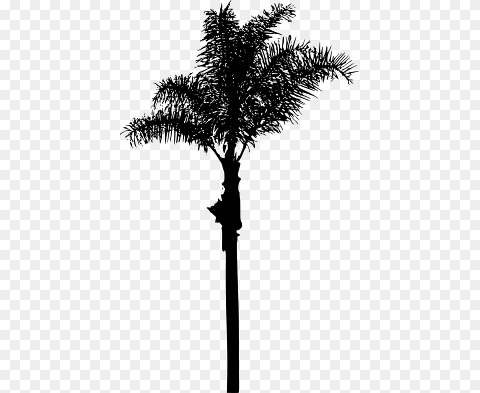 Palm Tree, Palm Tree, Plant, Cross, Symbol Free Transparent Png