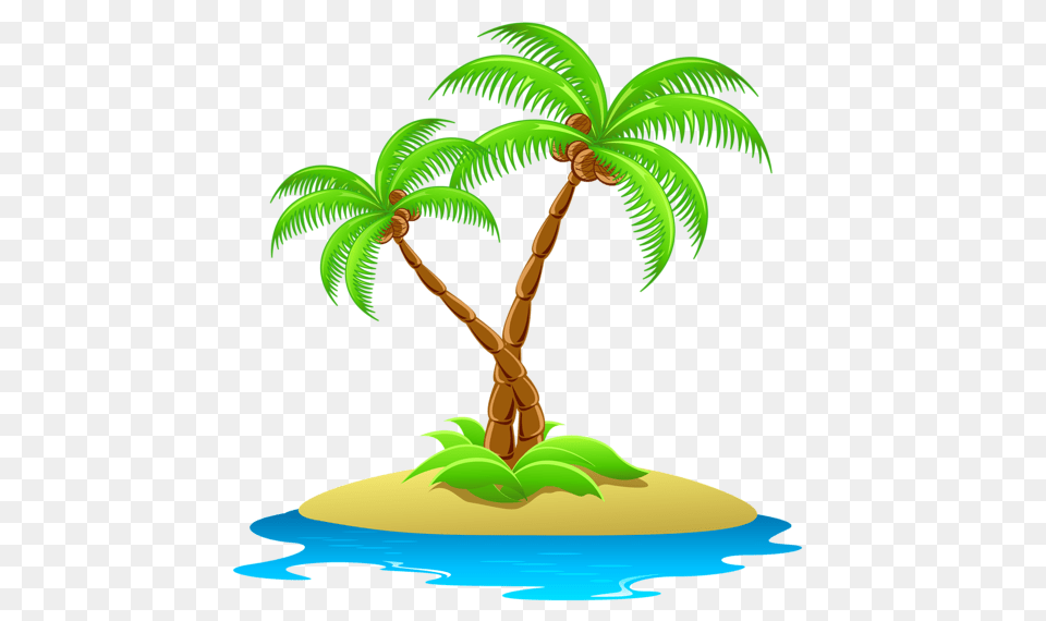 Palm Tree, Plant, Palm Tree, Vegetation, Land Free Transparent Png