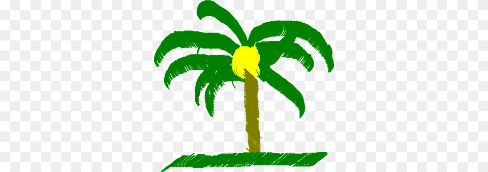 Palm Tree Green, Palm Tree, Plant, Person Free Png